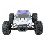 FTX Carnage NT 1/10th RTR 4WD Nitro Truck with 2.4Ghz Radio System - FTX5540