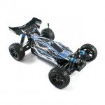 FTX Vantage 1/10 4WD Brushless Waterproof Buggy - FTX5532