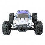 FTX Carnage NT 1/10th RTR 4WD Nitro Truck with 2.4Ghz Radio System - FTX5540