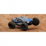 FTX Carnage 1/10 4WD Brushless Waterproof Truggy - FTX5543