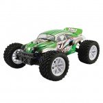 FTX Bugsta 1/10th 4WD Electric Brushless Off-Road Buggy (Ready to Run) - FTX5545