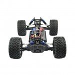 FTX Bugsta 1/10th 4WD Electric Brushless Off-Road Buggy (Ready to Run) - FTX5545
