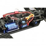 FTX Bugsta 1/10th 4WD Electric Brushless Off-Road Buggy (Ready to Run) - FTX5545