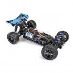 FTX Vantage 2.0 Brushed Buggy 1/10 4WD with 2.4Ghz Radio System (Ready-to-Run) - FTX5533B