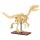 CaDA Dinosaur Fossils Velociraptor 256 Pieces (Unassembled Brick Build Kit) - C59014W