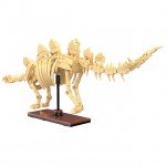 CaDA Dinosaur Fossils Stegosaurus 297 Pieces (Unassembled Brick Build Kit) - C59012W