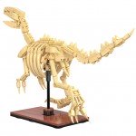 CaDA Dinosaur Fossils Velociraptor 256 Pieces (Unassembled Brick Build Kit) - C59014W