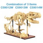 CaDA Tray of 3 Dinosaur Eggs with Stegosaurus, Triceratops and Velociraptor 825 Pieces (Unassembled Brick Build Kit) - C59015W
