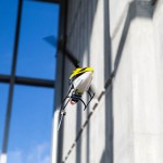 Blade 120 S2 Fixed Pitch Micro Helicopter with SAFE Technology (Ready-to-Fly) - BLH1100 Blade 120 S2 Fixed Pitch Micro Helicopter with SAFE Technology (Ready-to-Fly) - BLH1100