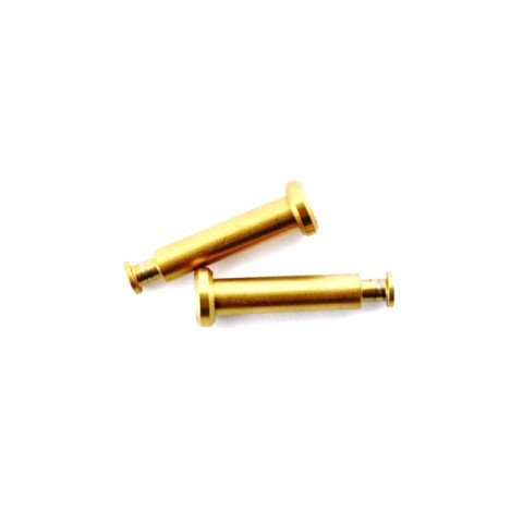 Losi 8ight Hinge Pin 4x21mm TiN (2 Pins) - LOSA6501