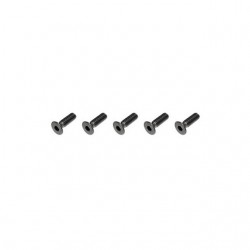 FTX Flat Head M3x10mm Hex Screw (5 Screws) - FTX6536