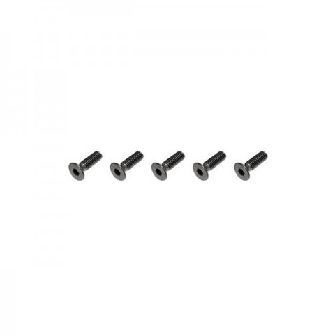 FTX Flat Head M3x10mm Hex Screw (5 Screws) - FTX6536