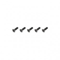 FTX Flat Head M3x10mm Hex Screw (5 Screws) - FTX6536