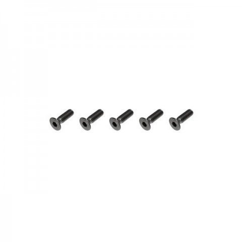 FTX Flat Head M3x10mm Hex Screw (5 Screws) - FTX6536