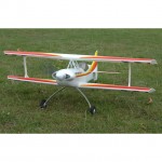 Ripmax Wots Wot Foam-E RC Plane (ARTF) - CF050