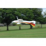 Ripmax Wots Wot Foam-E RC Plane (ARTF) - CF050