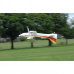 Ripmax Wots Wot Foam-E RC Plane (ARTF) - CF050