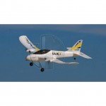 HobbyZone Duet Micro RC Plane with 2.4Ghz Radio System (Ready to Fly) - HBZ5300