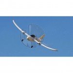 HobbyZone Duet Micro RC Plane with 2.4Ghz Radio System (Ready to Fly) - HBZ5300