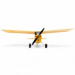 HobbyZone Champ Anniversary Special Edition 515mm RC Plane with SAFE Technology (Ready-to-Fly) - HBZ04900
