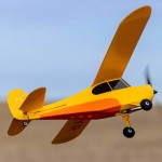 HobbyZone Champ Anniversary Special Edition 515mm RC Plane with SAFE Technology (Ready-to-Fly) - HBZ04900
