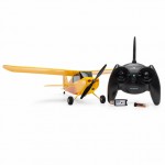 HobbyZone Champ Anniversary Special Edition 515mm RC Plane with SAFE Technology (Ready-to-Fly) - HBZ04900