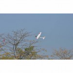 Volantex Ranger 600 Stunt Edition 4-Channel RC Glider Plane 600mm with Gyro (Ready-to-Fly) - V761-2SW