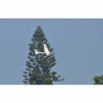 Volantex Ranger 600 Stunt Edition 4-Channel RC Glider Plane 600mm with Gyro (Ready-to-Fly) - V761-2SW