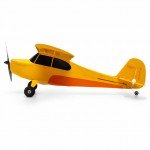 HobbyZone Champ Anniversary Special Edition 515mm RC Plane with SAFE Technology (Ready-to-Fly) - HBZ04900