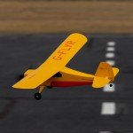 HobbyZone Champ Anniversary Special Edition 515mm RC Plane with SAFE Technology (Ready-to-Fly) - HBZ04900