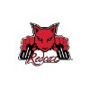 Redcat Racing